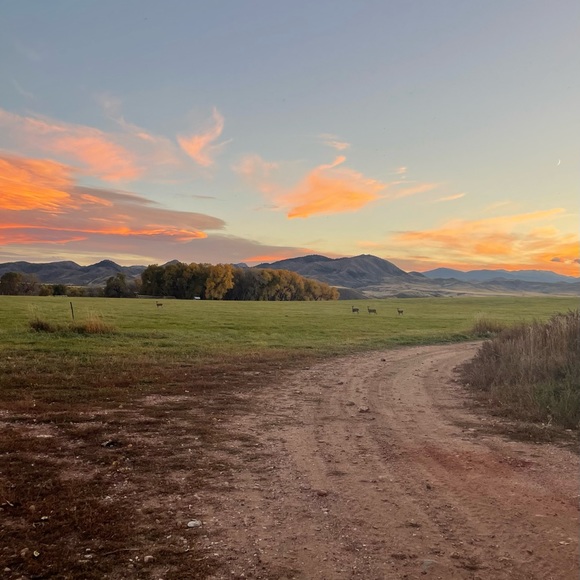 Welcome! Meet your Posher, Emma! Follow @Emmhiggi & @ruralroadmap on IG! 🥰 - Picture 5 of 5